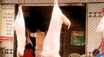 تغير جديد أسعار اللحوم في كفر الشيخ الثلاثاء المقبل